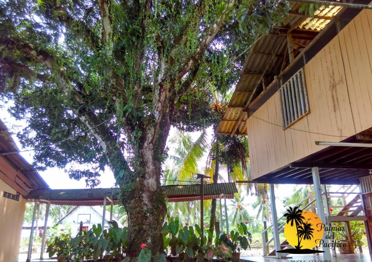 Hotel Palmas Del Pacifico Nuqui Exterior photo